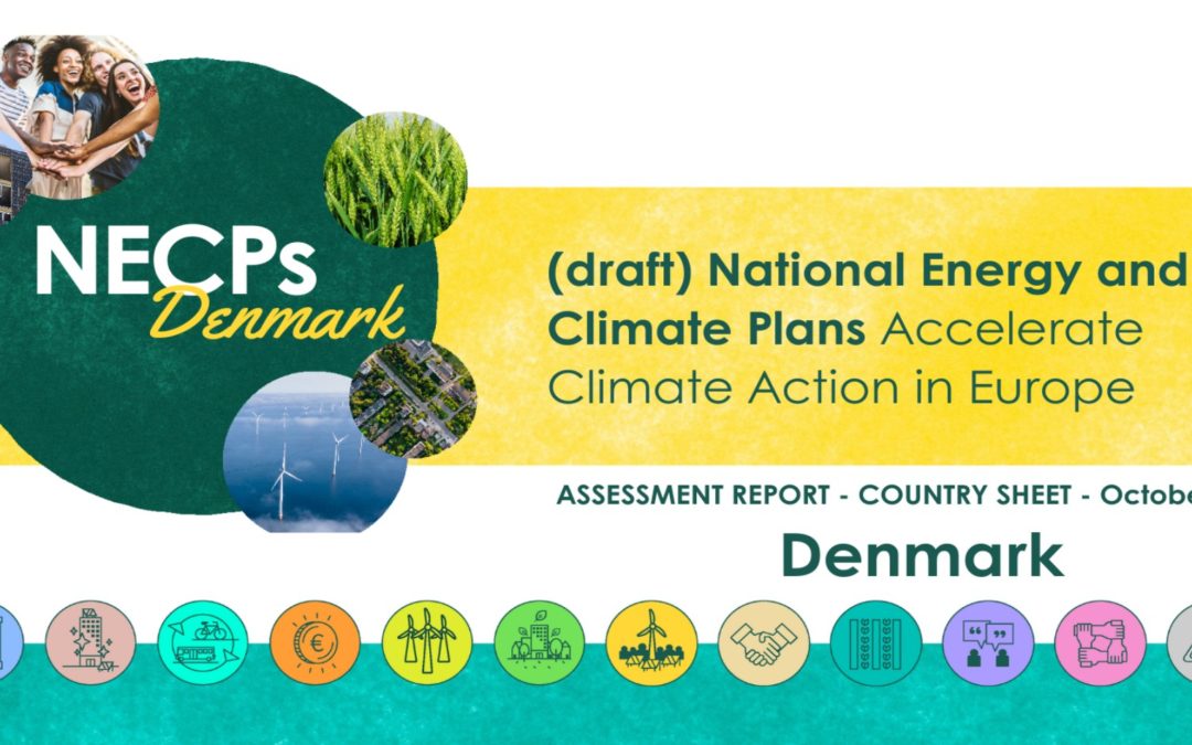 Danish NECP Assessment