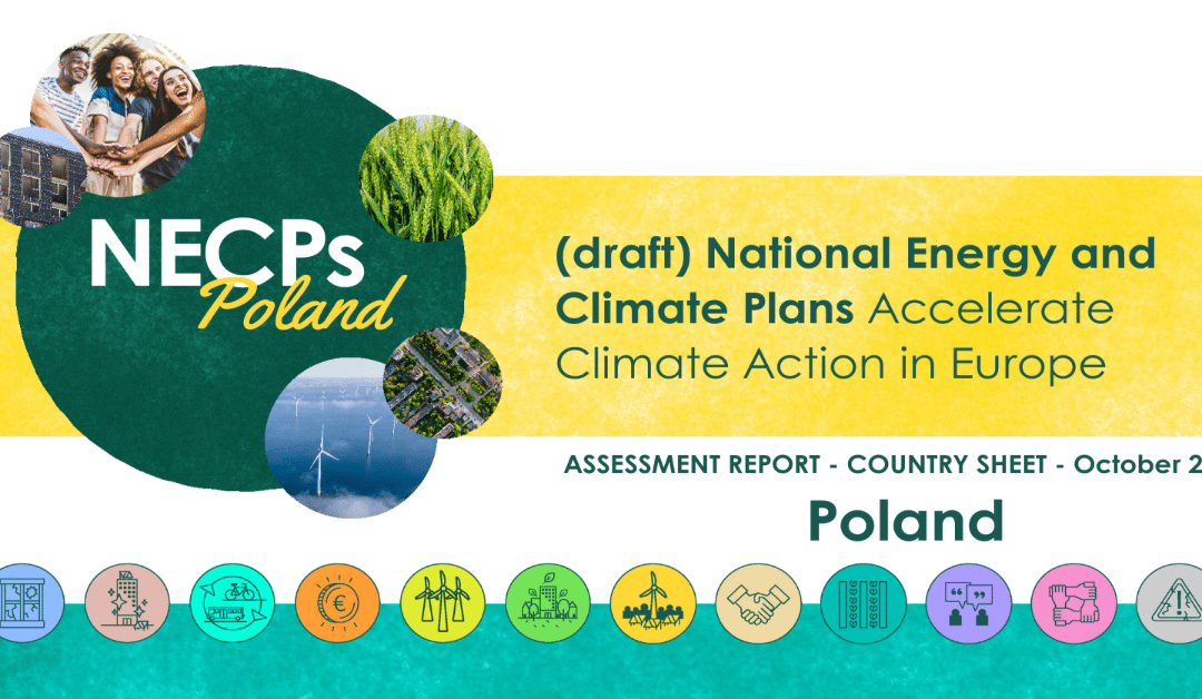 Polish NECP Assessment